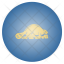پیش‌نمایش فایل oregon از پک پرچم‌ها ایالت آمریکا