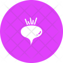 پیش‌نمایش فایل beet-26 از پک میوه و سبزیجات
