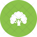 پیش‌نمایش فایل broccoli-28 از پک میوه و سبزیجات
