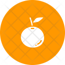 پیش‌نمایش فایل orange-91 از پک میوه و سبزیجات
