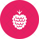 پیش‌نمایش فایل raspberry-22 از پک میوه و سبزیجات
