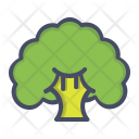 پیش‌نمایش فایل broccoli-29 از پک میوه و سبزیجات