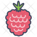 پیش‌نمایش فایل raspberry-23 از پک میوه و سبزیجات