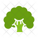 پیش‌نمایش فایل broccoli-30 از پک میوه و سبزیجات