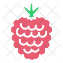 پیش‌نمایش فایل raspberry-24 از پک میوه و سبزیجات