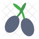 پیش‌نمایش فایل olive-4 از پک میوه‌ها و سبزیجات