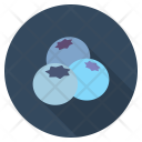 پیش‌نمایش فایل blueberry-17 از پک میوه‌ها و سبزیجات