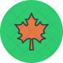 پیش‌نمایش فایل maple-21 از پک روز شکرگزاری