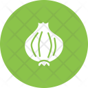 پیش‌نمایش فایل onion-48 از پک روز شکرگزاری