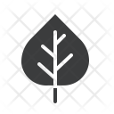 پیش‌نمایش فایل aspen-1 از پک پاییز