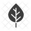 پیش‌نمایش فایل birch-4 از پک پاییز