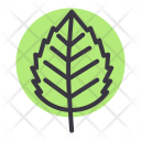 پیش‌نمایش فایل birch-6 از پک پاییز