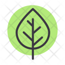 پیش‌نمایش فایل birch-7 از پک پاییز