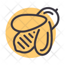 پیش‌نمایش فایل honey-301 از پک پاییز