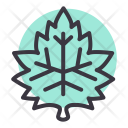 پیش‌نمایش فایل maple-48 از پک پاییز
