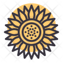 پیش‌نمایش فایل sunflower-87 از پک پاییز