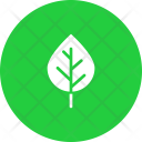 پیش‌نمایش فایل birch-8 از پک پاییز