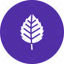 پیش‌نمایش فایل birch-9 از پک پاییز