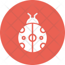 پیش‌نمایش فایل bug-152 از پک پاییز