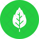 پیش‌نمایش فایل oak-24 از پک پاییز