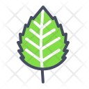 پیش‌نمایش فایل birch-10 از پک پاییز