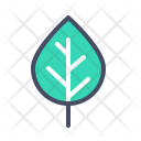 پیش‌نمایش فایل birch-11 از پک پاییز