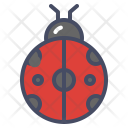 پیش‌نمایش فایل bug-165 از پک پاییز