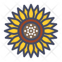 پیش‌نمایش فایل sunflower-89 از پک پاییز
