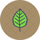 پیش‌نمایش فایل birch-12 از پک پاییز