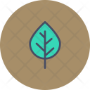 پیش‌نمایش فایل birch-13 از پک پاییز