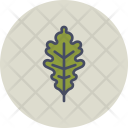 پیش‌نمایش فایل oak-29 از پک پاییز