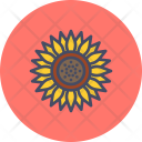 پیش‌نمایش فایل sunflower-90 از پک پاییز
