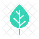 پیش‌نمایش فایل birch-14 از پک پاییز