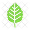 پیش‌نمایش فایل birch-15 از پک پاییز