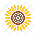 پیش‌نمایش فایل sunflower-91 از پک پاییز