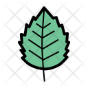 پیش‌نمایش فایل birch-leaf-3 از پک مجموعه دودل پاییز