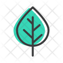 پیش‌نمایش فایل birch-16 از پک پاییز