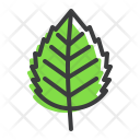 پیش‌نمایش فایل birch-17 از پک پاییز