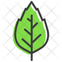پیش‌نمایش فایل oak-34 از پک پاییز
