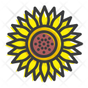 پیش‌نمایش فایل sunflower-96 از پک پاییز