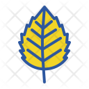 پیش‌نمایش فایل birch-19 از پک پاییز