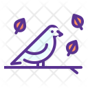 پیش‌نمایش فایل bird-143 از پک پاییز