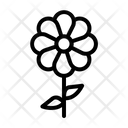 پیش‌نمایش فایل flower-5494944 از پک مهدکودک