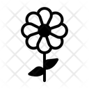 پیش‌نمایش فایل flower-5494916 از پک مهدکودک