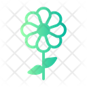 پیش‌نمایش فایل flower-5494889 از پک مهدکودک