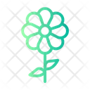 پیش‌نمایش فایل flower-5494975 از پک مهدکودک