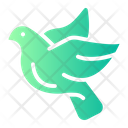 پیش‌نمایش فایل dove-5733431 از پک حیوانات