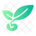 پیش‌نمایش فایل plant-9639587 از پک مزرعه