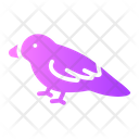پیش‌نمایش فایل bird-9865618 از پک حیوانات خانگی