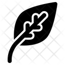 پیش‌نمایش فایل leaf-3107811 از پک بهار